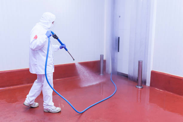 Paint Preparation in Cerritos, CA